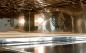 Preview: Pizzaofen Genius 6 BREIT